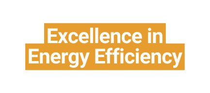 Excellence in Energy Efficiency